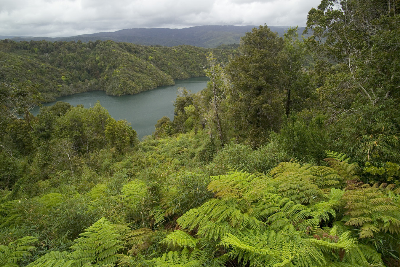 Destrucción de la naturaleza amenaza a la humanidad “al menos tanto” como el cambio climático