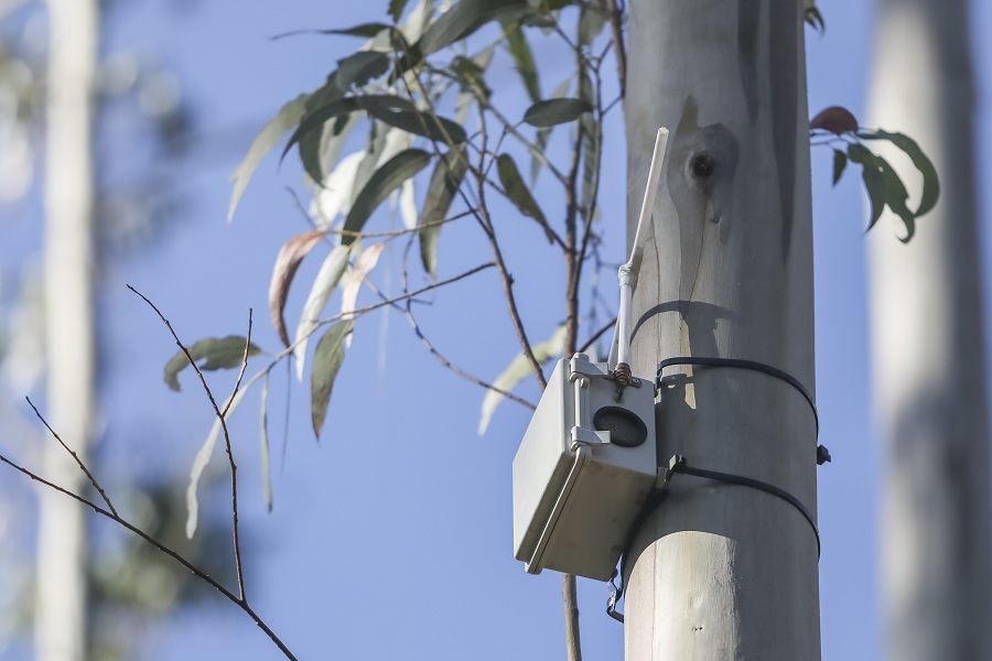 SEA The Forest, el innovador sistema que promete detectar incendios forestales antes de que se forme humo
