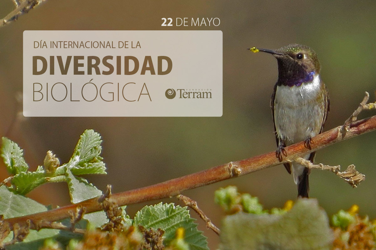 Día de la Biodiversidad: queda mucho por hacer