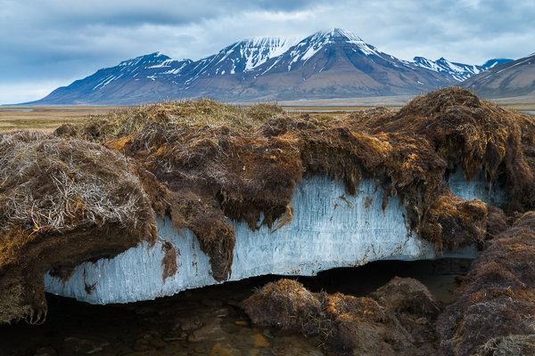 Tierras congeladas: Qué es el permafrost y por qué es importante para el medio ambiente