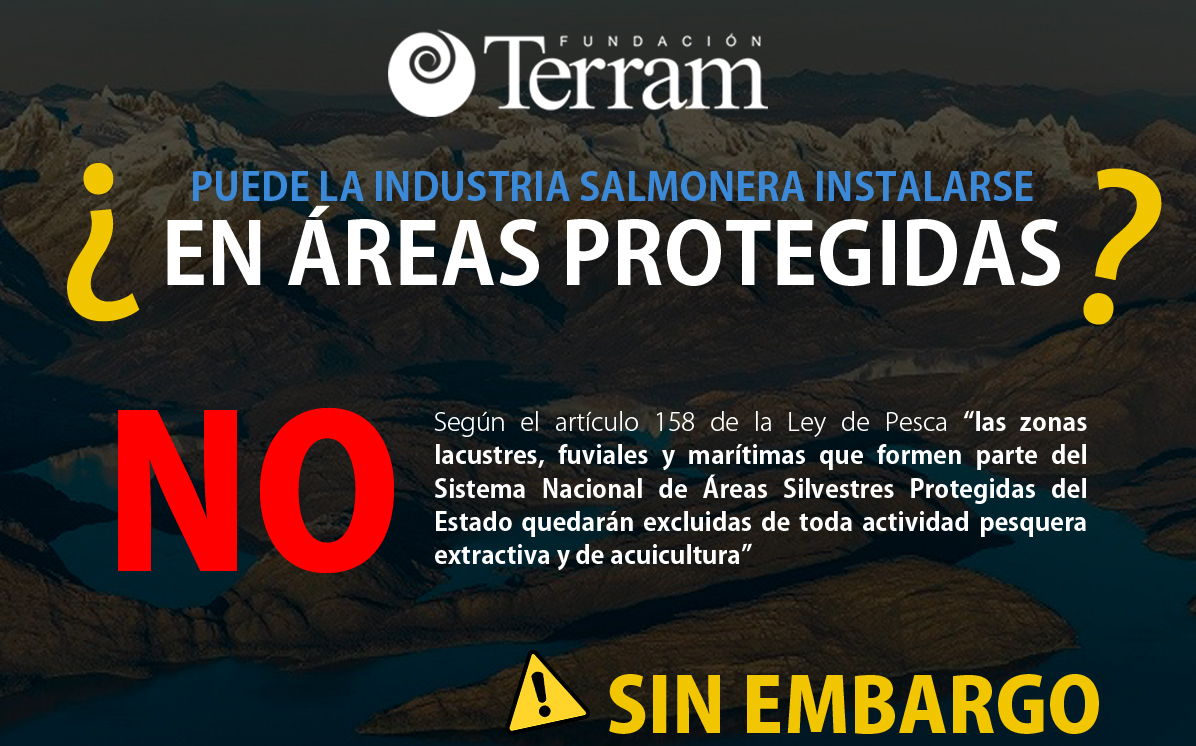 Infografía: ¿Puede la industria salmonera instalarse en áreas protegidas?