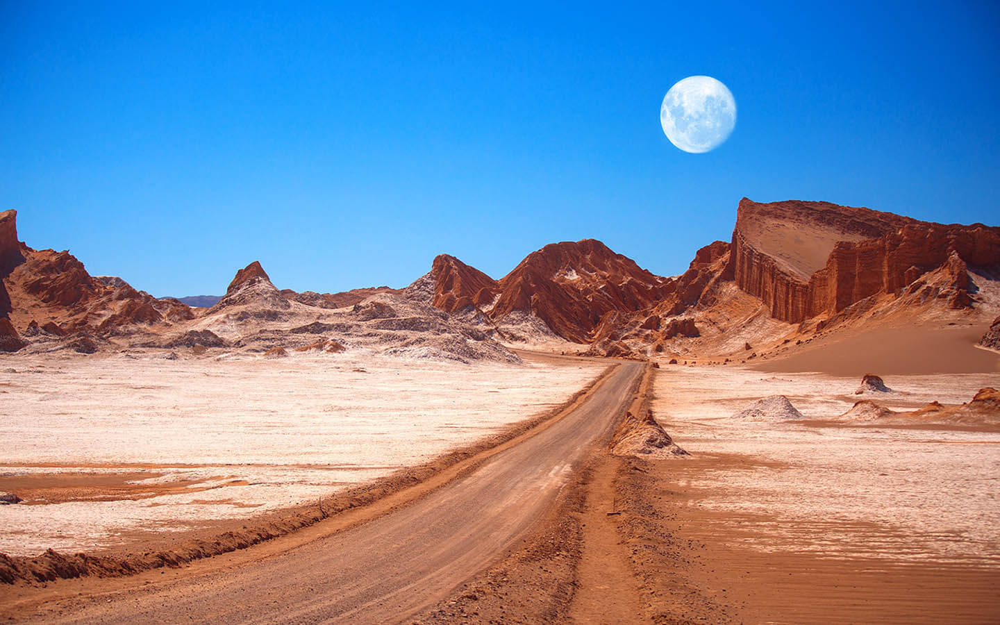 El duro diagnóstico de Bloomberg: Salvar el planeta con autos eléctricos significa estrangular el Desierto de Atacama