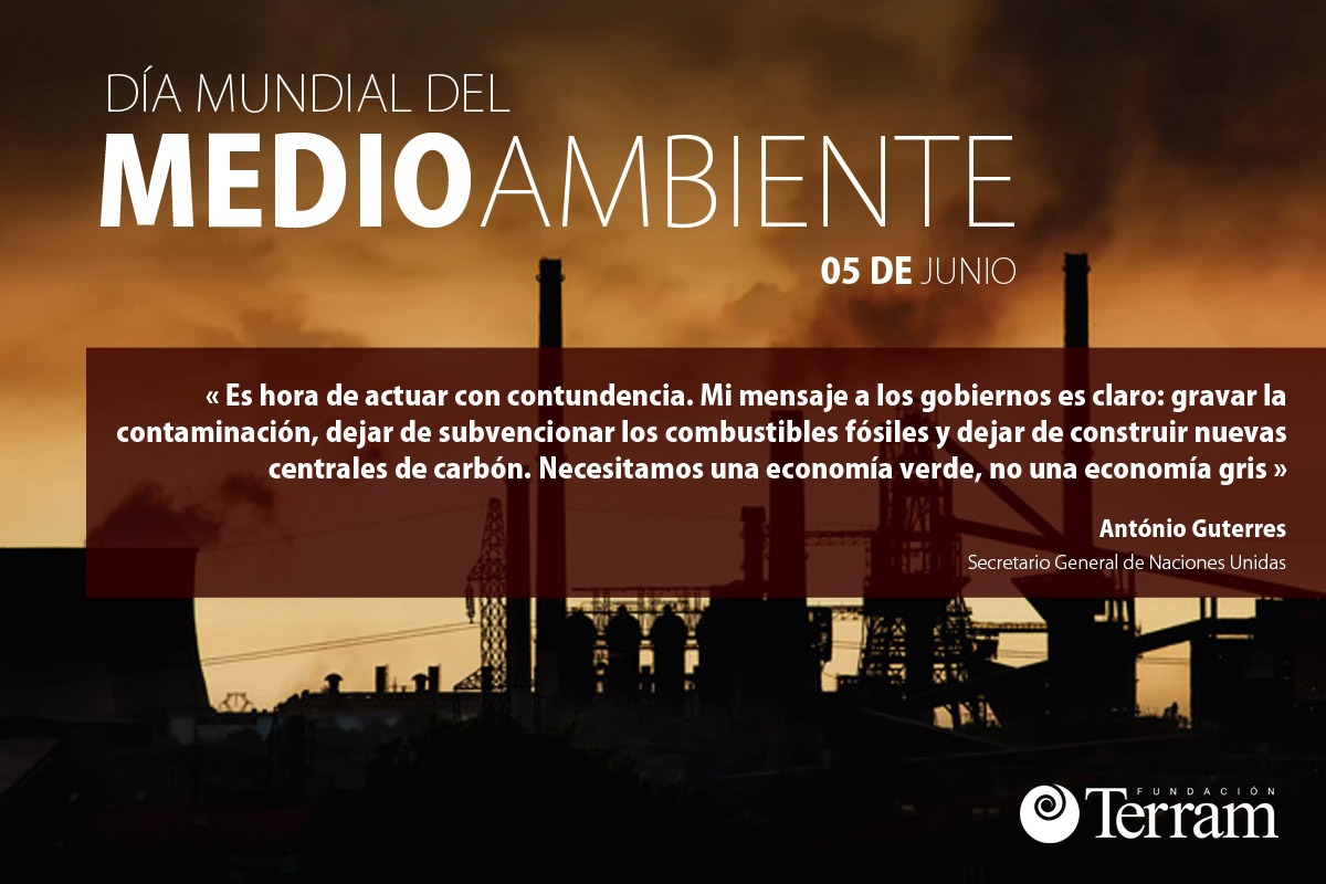 El Día del Medio Ambiente se tiñó de negro