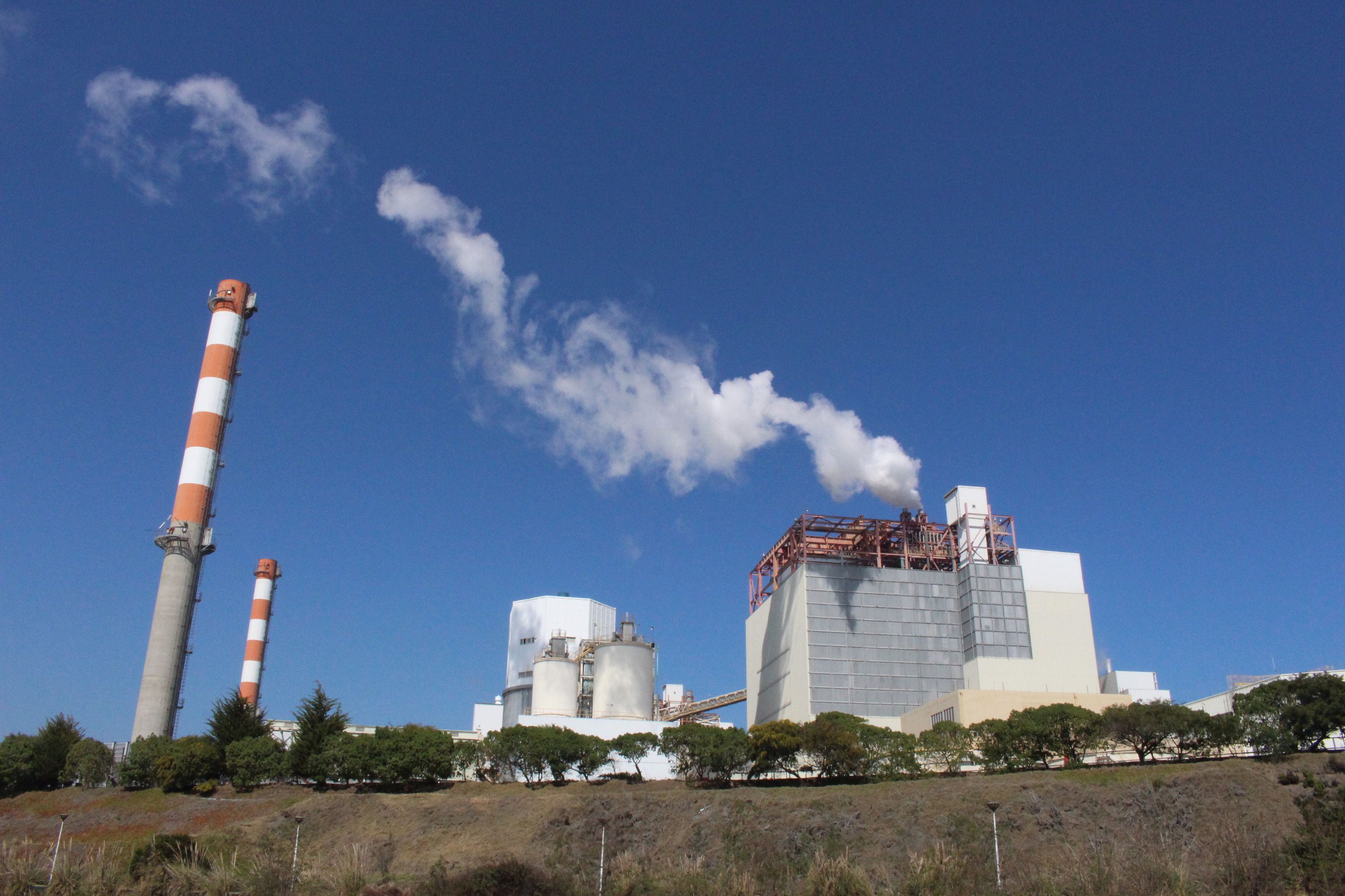 En 2019 Chile se carboniza: termoeléctricas no se cierran en Zonas de Sacrificio y generación a carbón aumenta durante este año