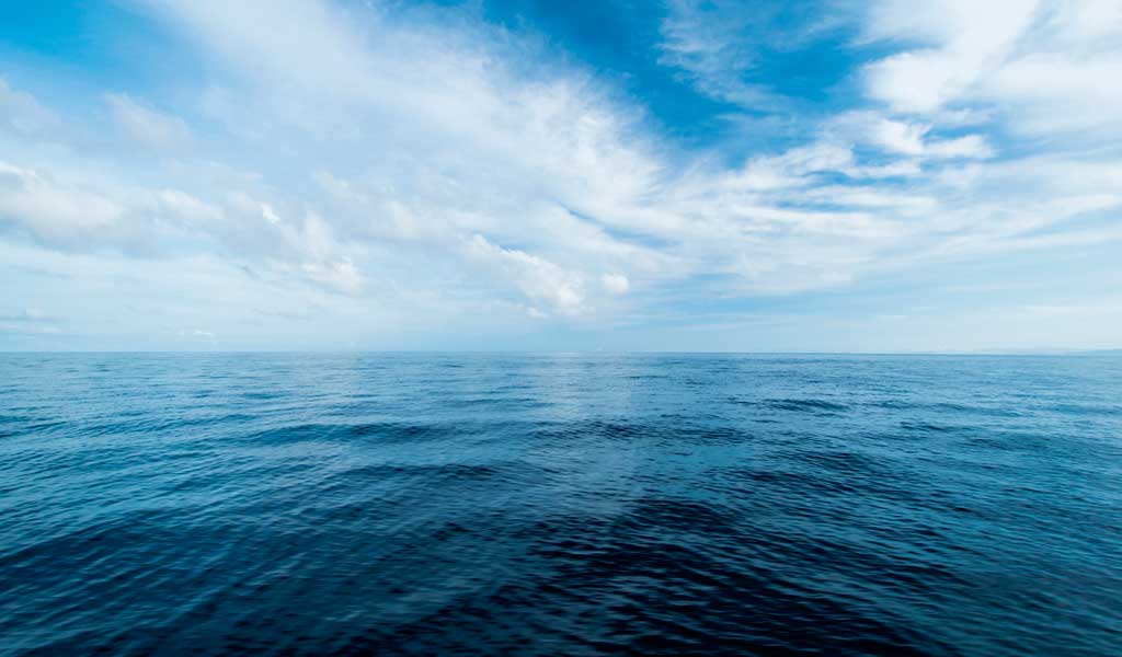 8 de junio, Día Mundial de los Océanos: La acidificación y contaminación del mar