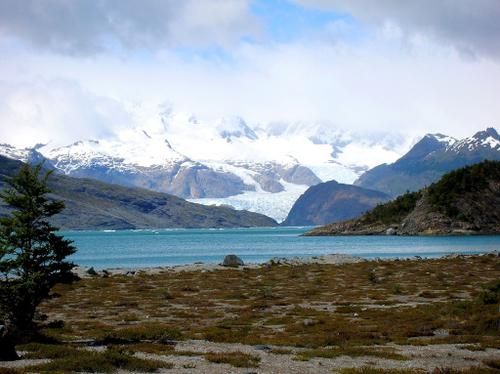 Salmonera Nova Austral anuncia traslado de sus cultivos en Magallanes tras expansión de parque nacional