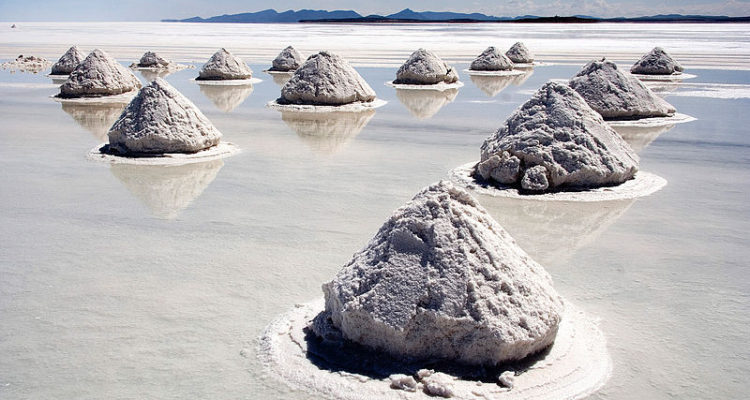 Tribunal Constitucional rechaza recurso de seis sociedades mineras por explotación del litio en salar de Maricunga