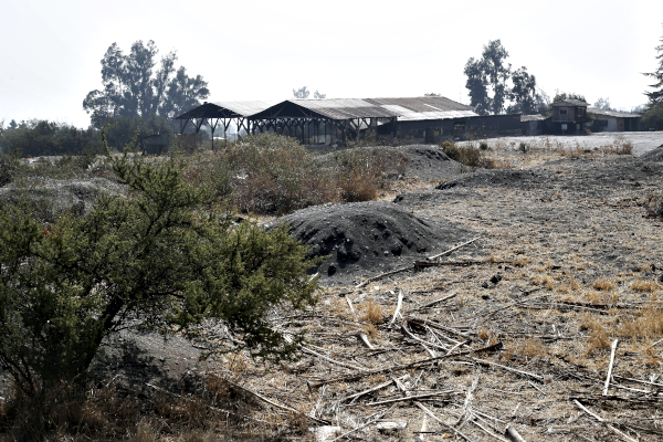 Tribunal Ambiental anula resolución de la SMA que archivó denuncias por desechos en Bosque Panul