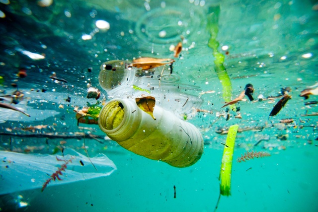 Menos basura en el mar y lucha contra la pesca ilegal: los compromisos locales para el APEC