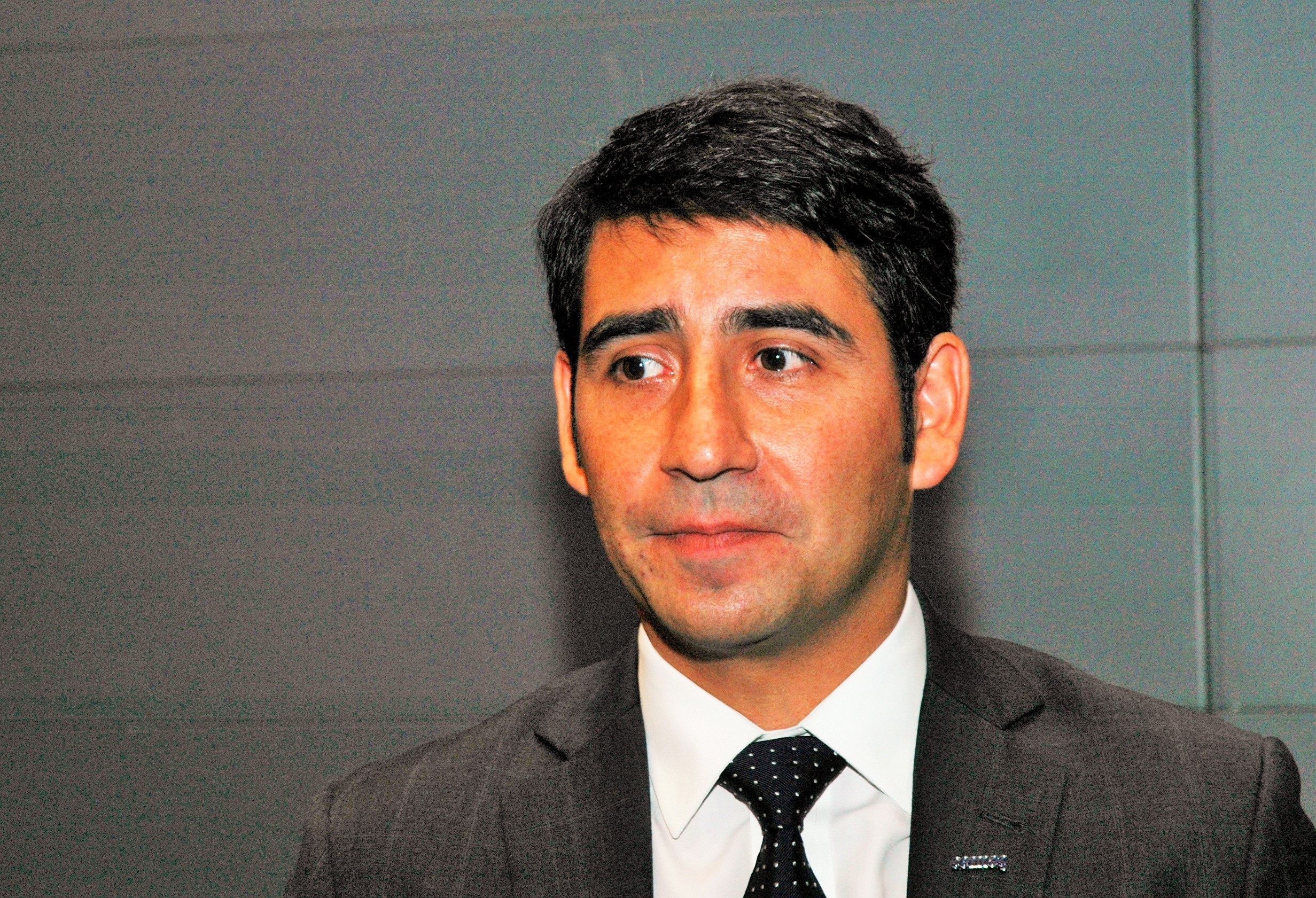 Nuevo gerente de Nova Austral: “Efectivamente se entregó información incorrecta a la autoridad”