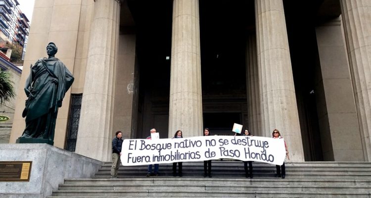 Postergan alegatos por recurso de protección para detener dos proyectos inmobiliarios en Quilpué