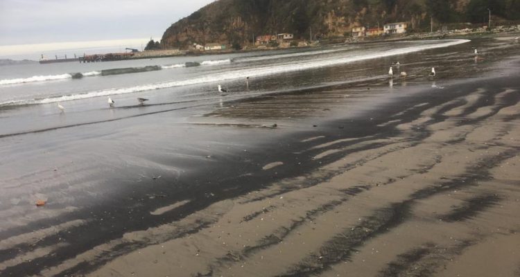 Dos varamientos en 24 horas: vecinos vuelven a denunciar restos de carbón en bahía de Quintero