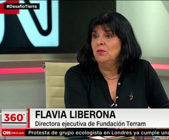 [VIDEO] Fundación Terram sobre Mina Invierno: “La empresa, desde un comienzo, burló la ley al no incluir las tronaduras en su evaluación inicial”