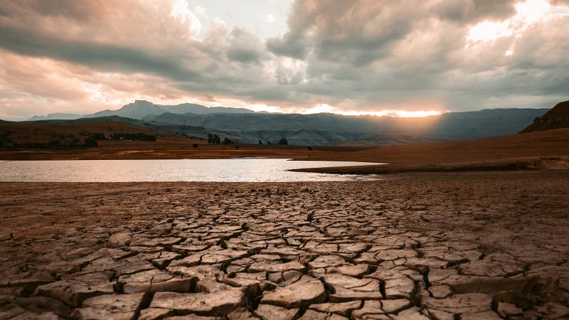 “Buenos Aires será como Sídney y Londres como Barcelona”: el mapa que estima el impacto del cambio climático en más de 500 ciudades en el mundo