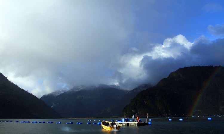 Comisión de Pesca del Senado aprueba por unanimidad el proyecto de Ley Bentónica