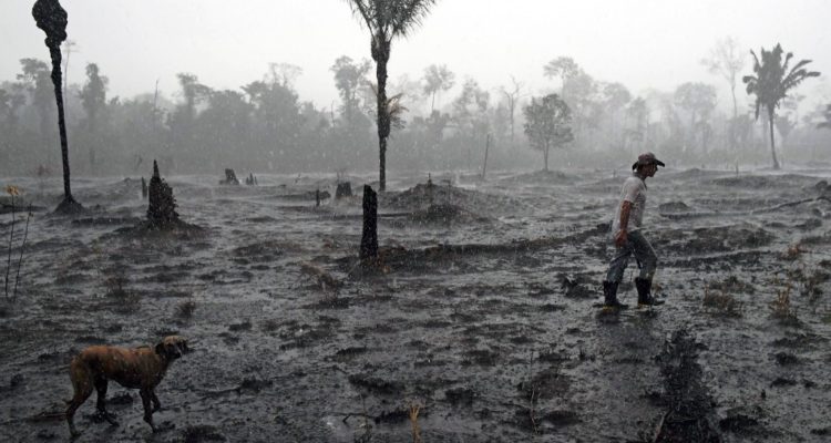 Sequías, especulación y presión política: los últimos años de la Amazonía