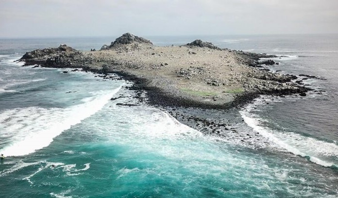 Bahía Chascos: un núcleo de biodiversidad bajo amenaza