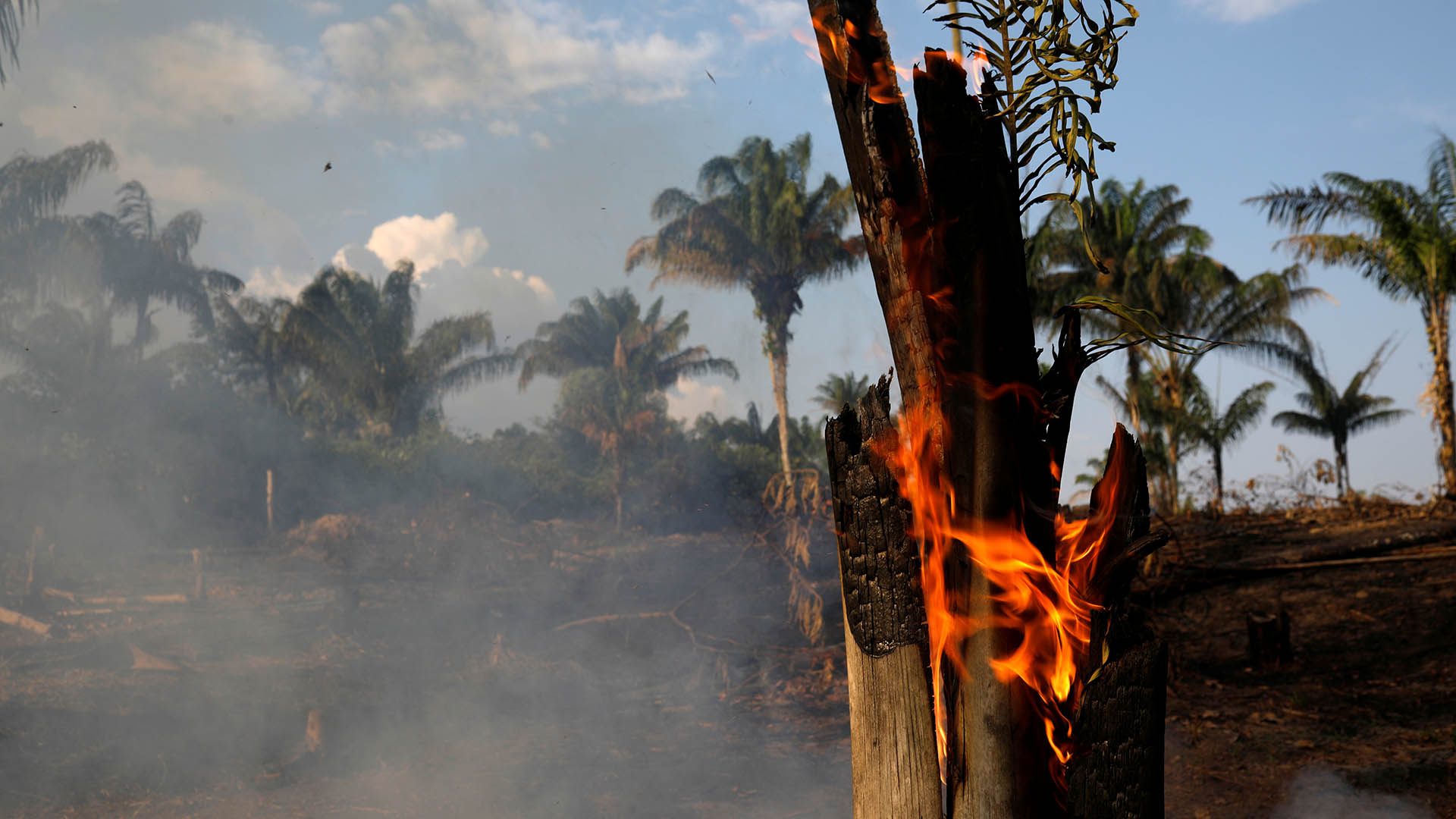 Deforestar para exportar: la política del gobierno brasileño que hizo arder el Amazonas