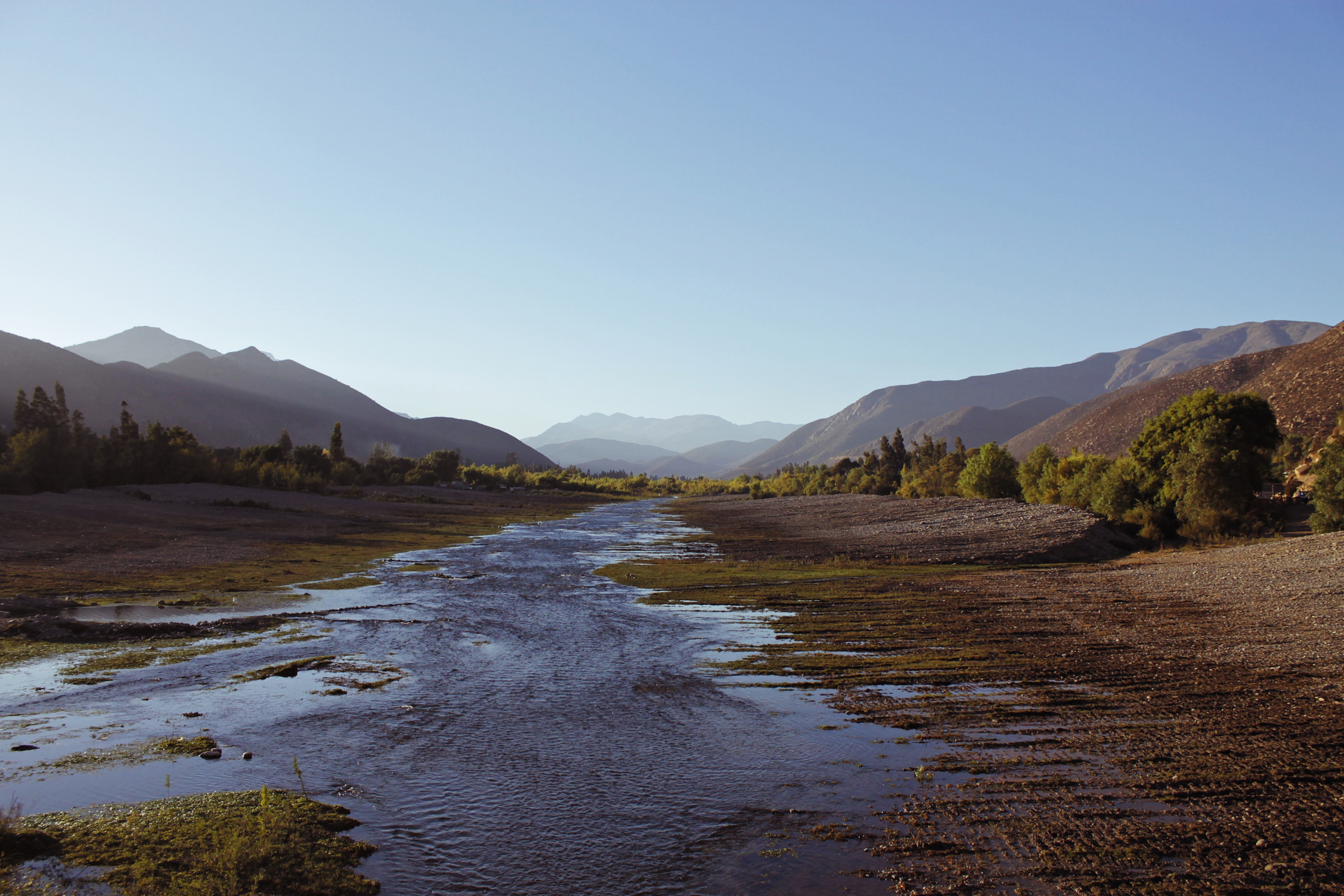 Hasta la última gota: La expansión de paltos seca dos comunidades más en Chile