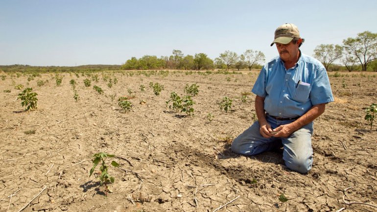 Gobierno decreta emergencia agrícola mientras productores enfrentan decisión de priorizar los cultivos con riego