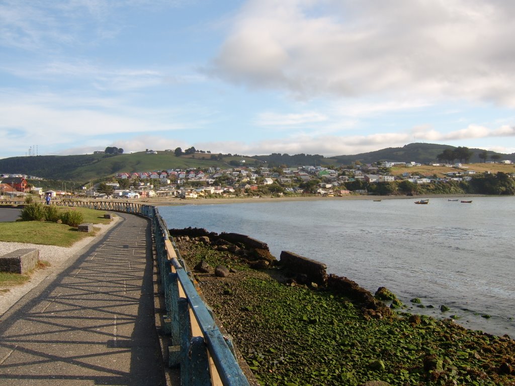 Essal confirma contaminación en bahía de Ancud y esperan controlar la emergencia en horas de la mañana