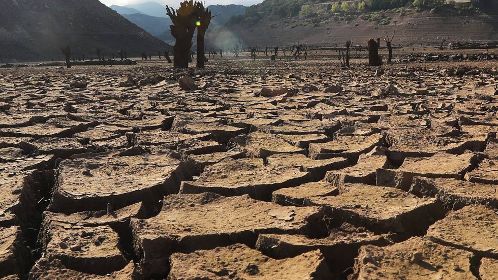 Los cuantiosos costos de los períodos de sequía