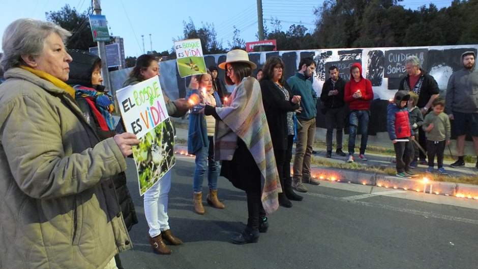Diputados emplazan a Conaf a cumplir con la ley y frenar acción de inmobiliarias en contra de bosque nativo en Quilpué