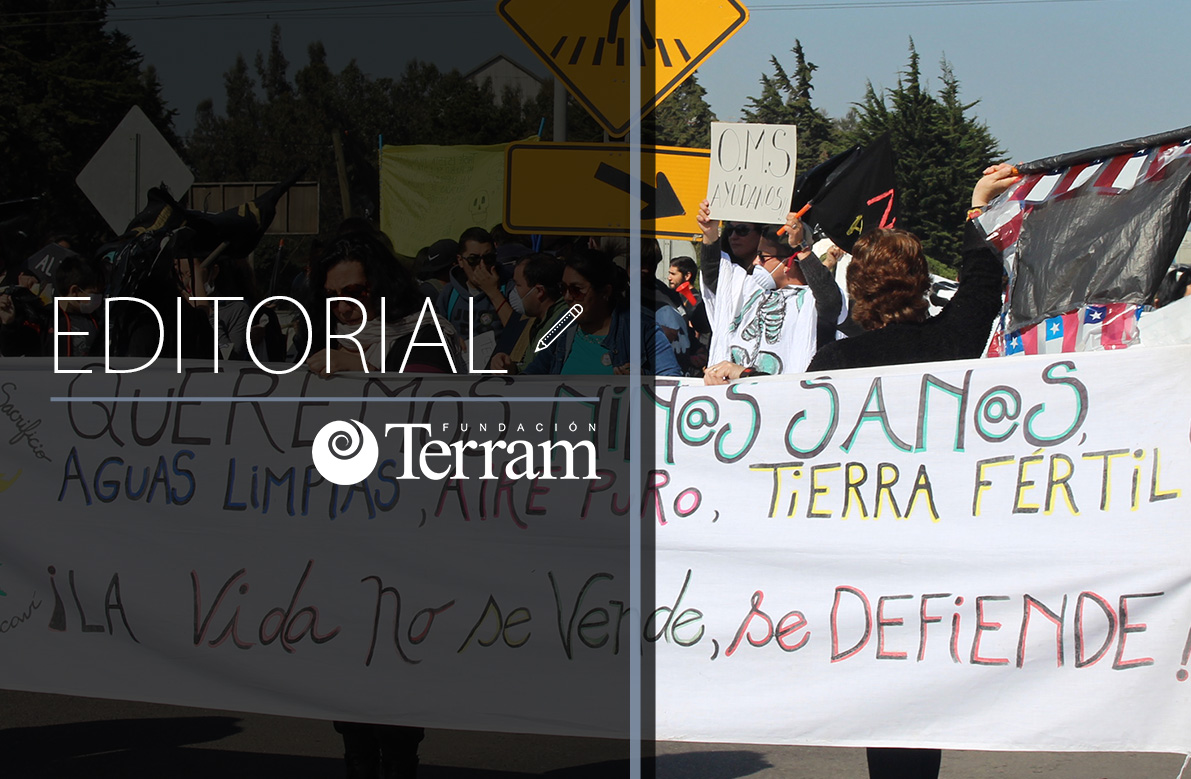 ¿Hasta cuándo serán vulnerados los defensores ambientales?