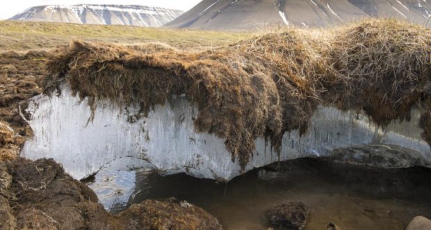 ¿La economía o el ecosistema?: Comisión de Minería alarga discusión por Ley de Glaciares