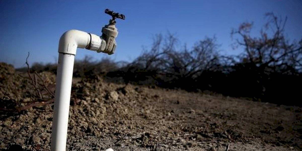 Escasez de agua golpea con fuerza el campo chilote