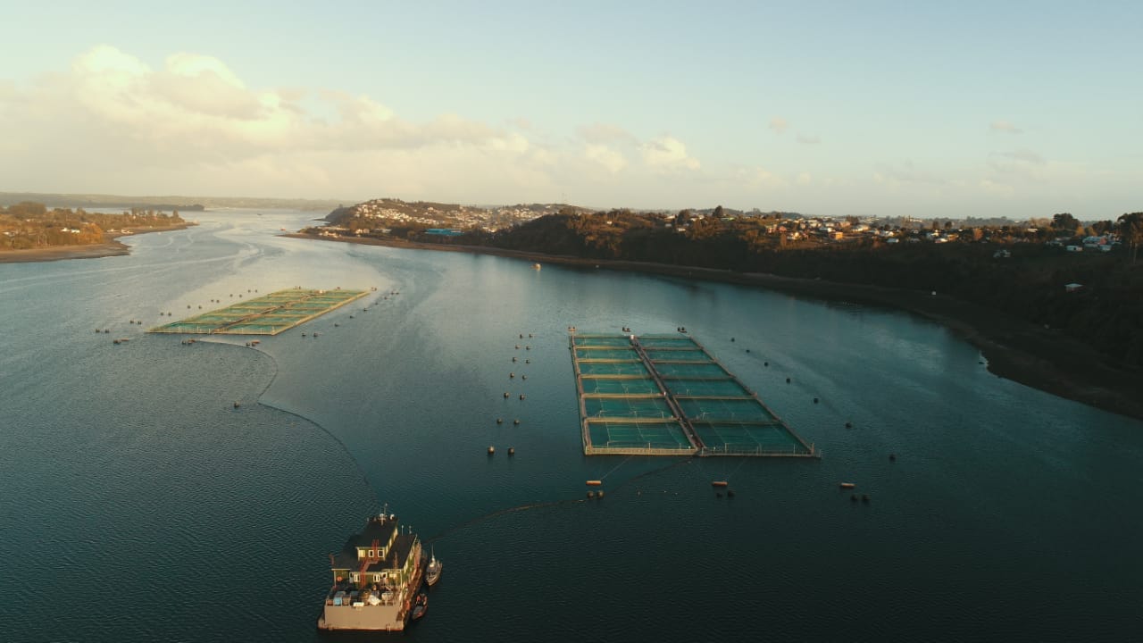 Despachan a Sala proyecto para remoción de sedimentos en centros de salmón