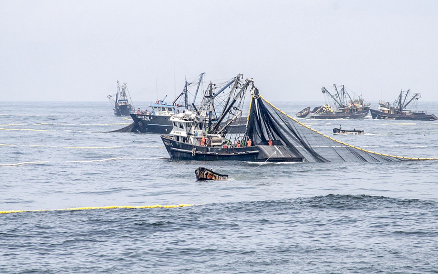 Chile inicia una fuerte ofensiva para restablecer sus derechos pesqueros