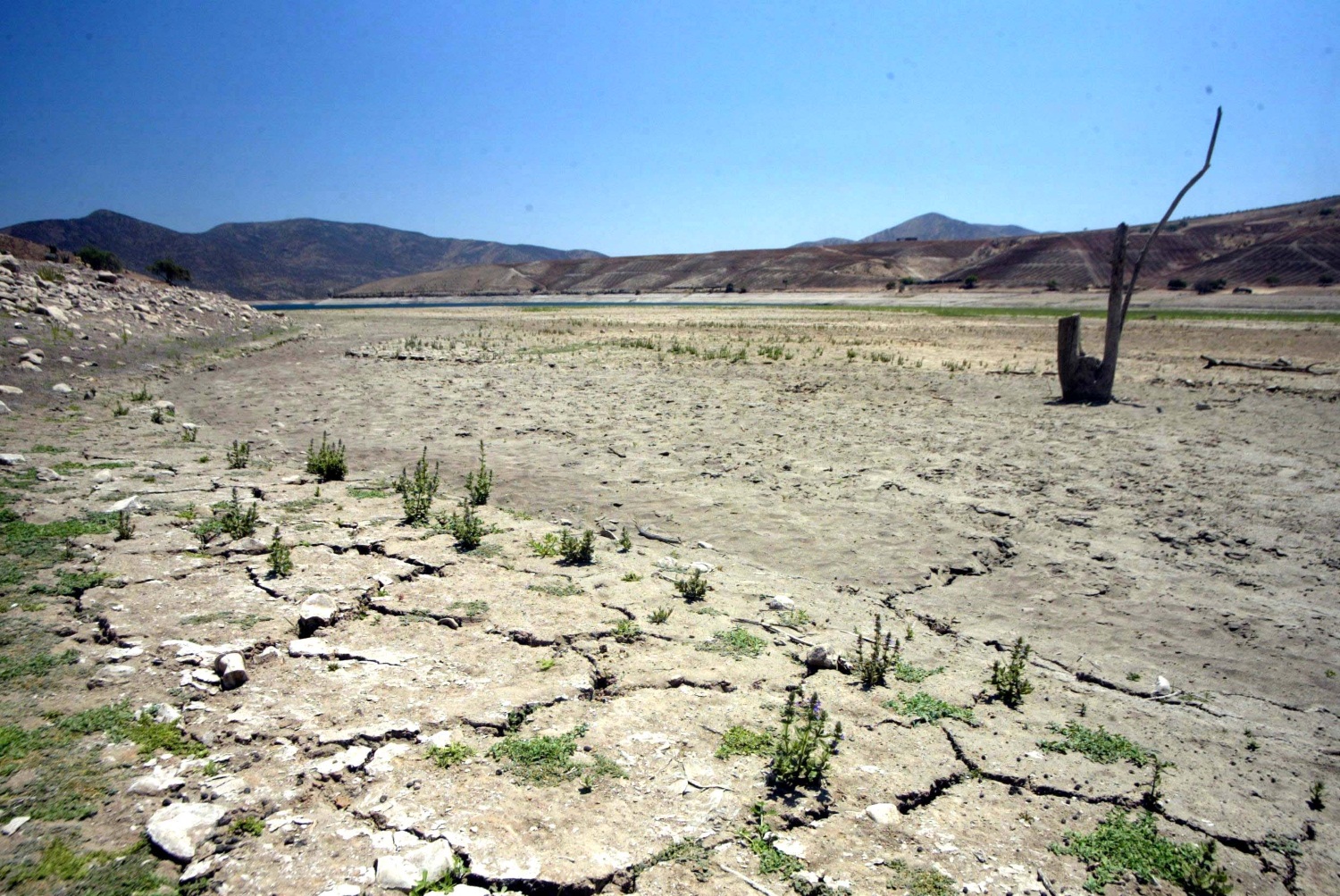 Informe de Cambio Climático: Comisión de Medio Ambiente del Senado acuerda avanzar con normas claras