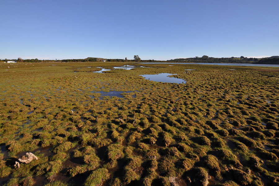 Aprueban creación de dos santuarios de la naturaleza en ríos Maipo y Maullín