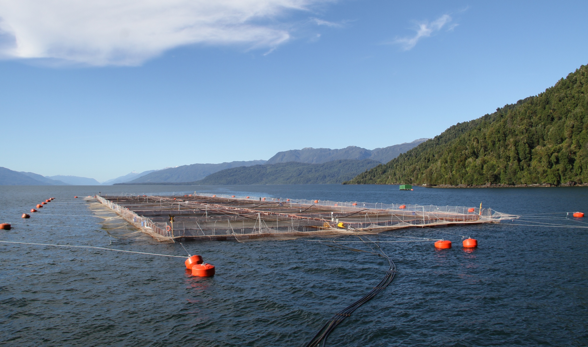 Gobierno destaca normalización de operaciones en Chiloé