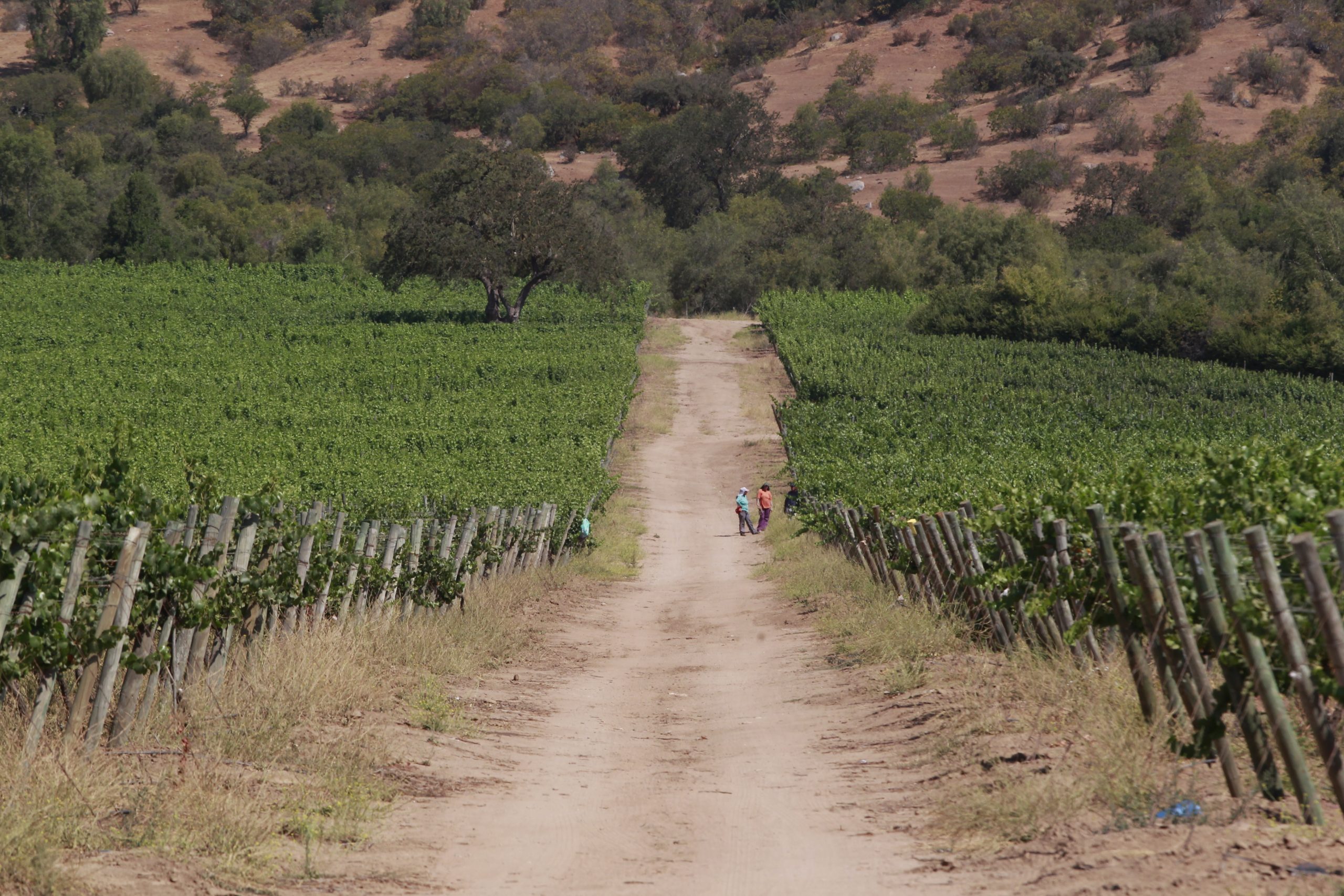 Los puntos clave para el agro en el nuevo Código de Aguas