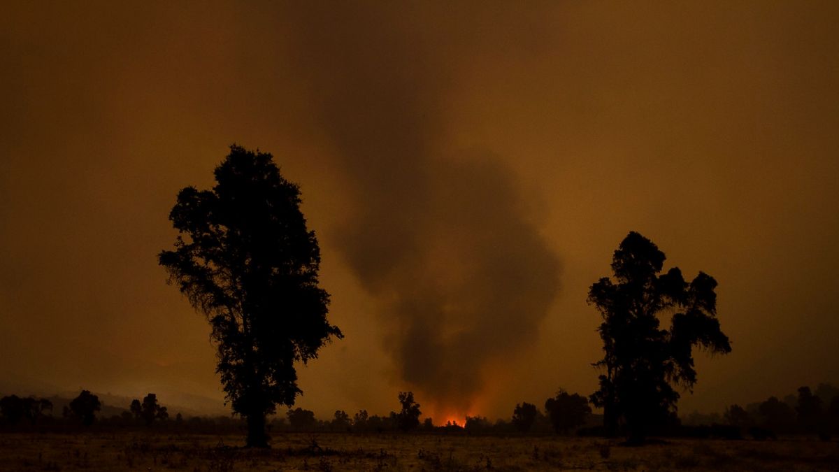 Sequía y cambio climático: Incendios forestales ya suman más de 2.000 en la temporada, el doble de último registro