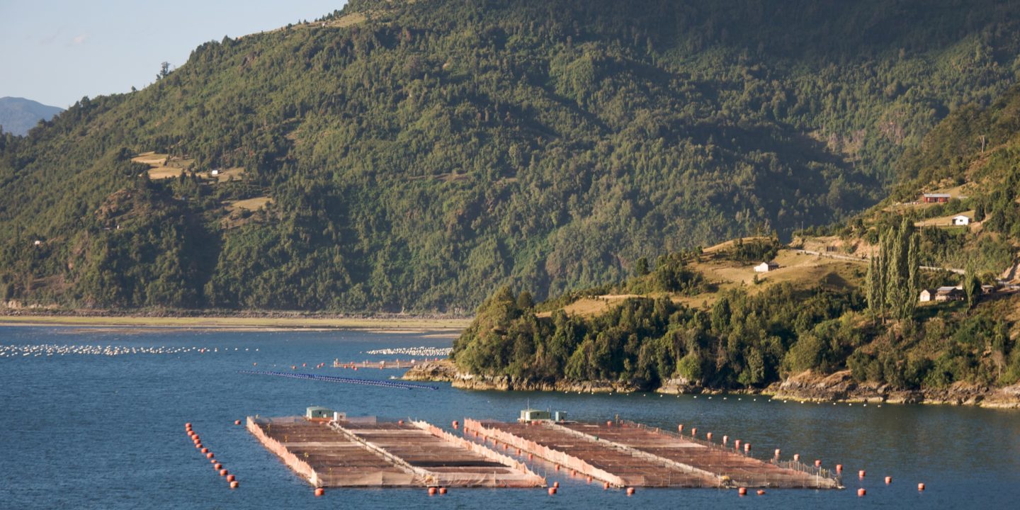 Cámara despachó proyecto que exige la remoción de sedimentos concesionarios de acuicultura