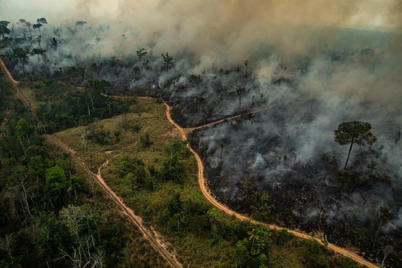 “Ecocidio en la Amazonía y la Chiquitanía”: comunidades indígenas piden terminar con amenazas a la selva tropical