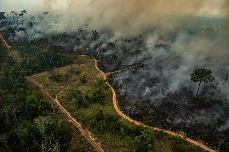 14 mil científicos llaman a actuar ante la crisis climática