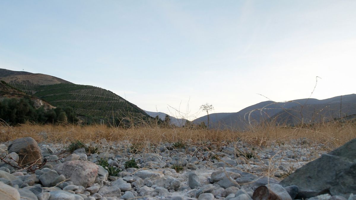 Flavia Liberona: “La desertificación del país es más grave que los gases de efecto invernadero”