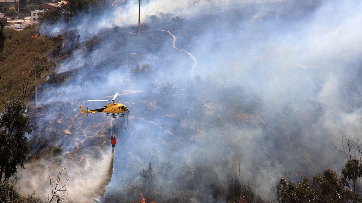 “Una cachetada”: expertos critican legislación chilena tras informe sobre degradación medioambiental