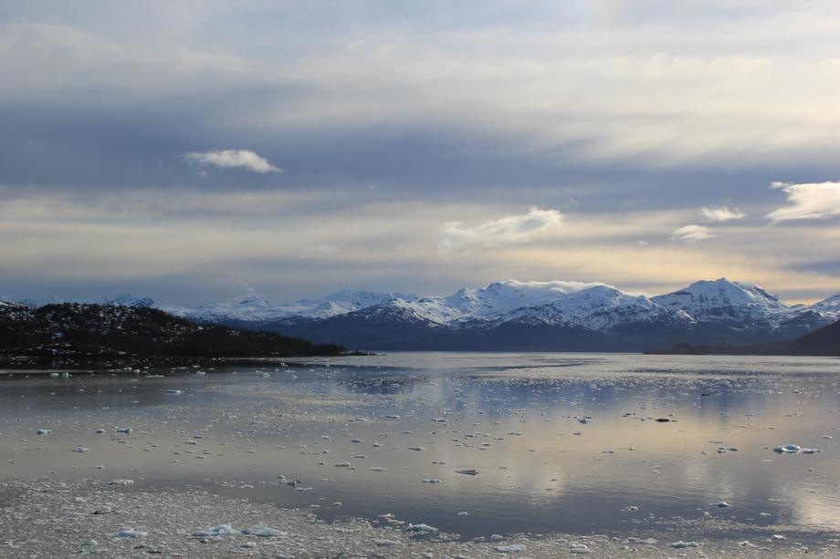 Producción de salmones crece en Magallanes bordeando las 160 mil toneladas