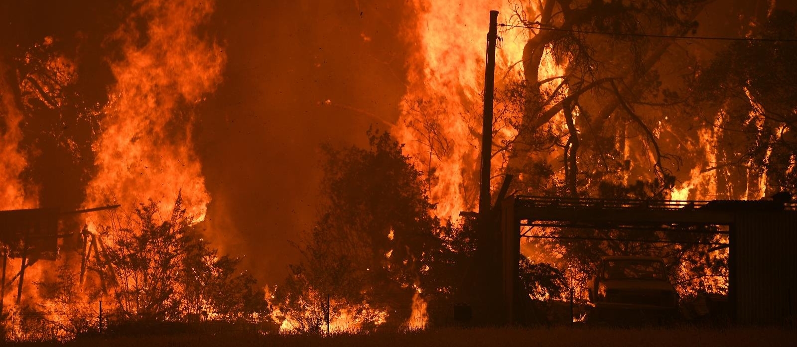 Los incendios en Australia y sus cifras: territorio afectado equivale a la suma de casi cuatro regiones del centro de Chile
