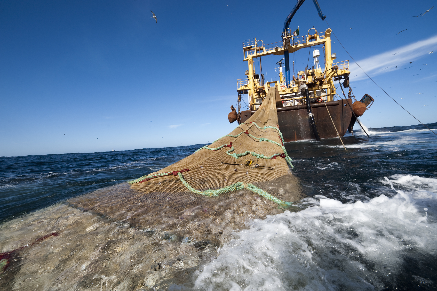 “La pesca sustentable es clave en la producción de alimentos con bajo impacto ambiental”