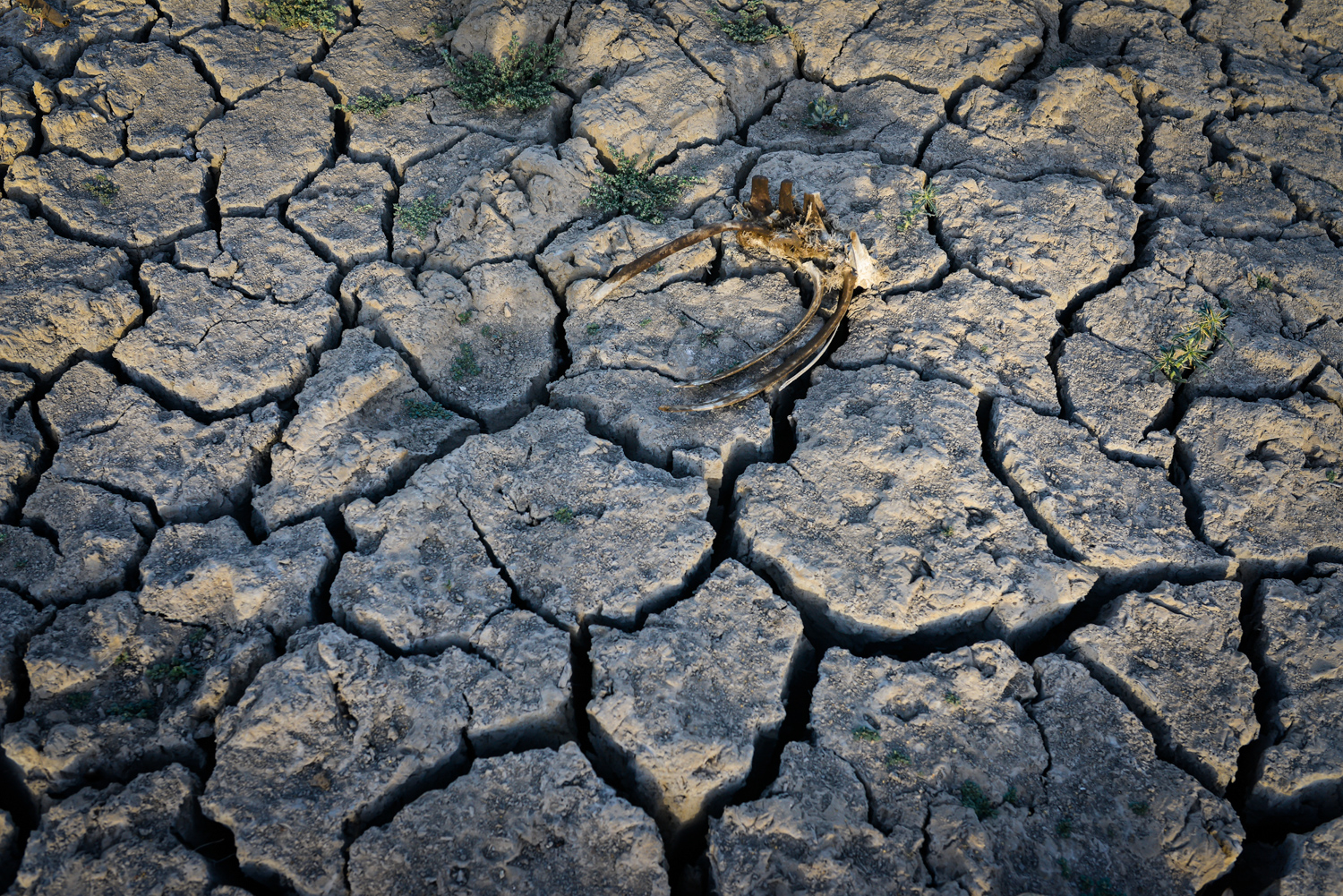 Gobierno y alcaldes trataron medidas para enfrentar la sequía: “La prioridad es el agua para el consumo humano”