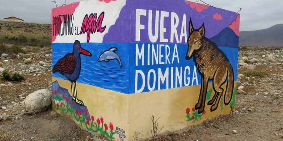 Organizaciones en estado de alerta ante alegatos que se llevarán a cabo en el Tribunal Ambiental por caso Dominga