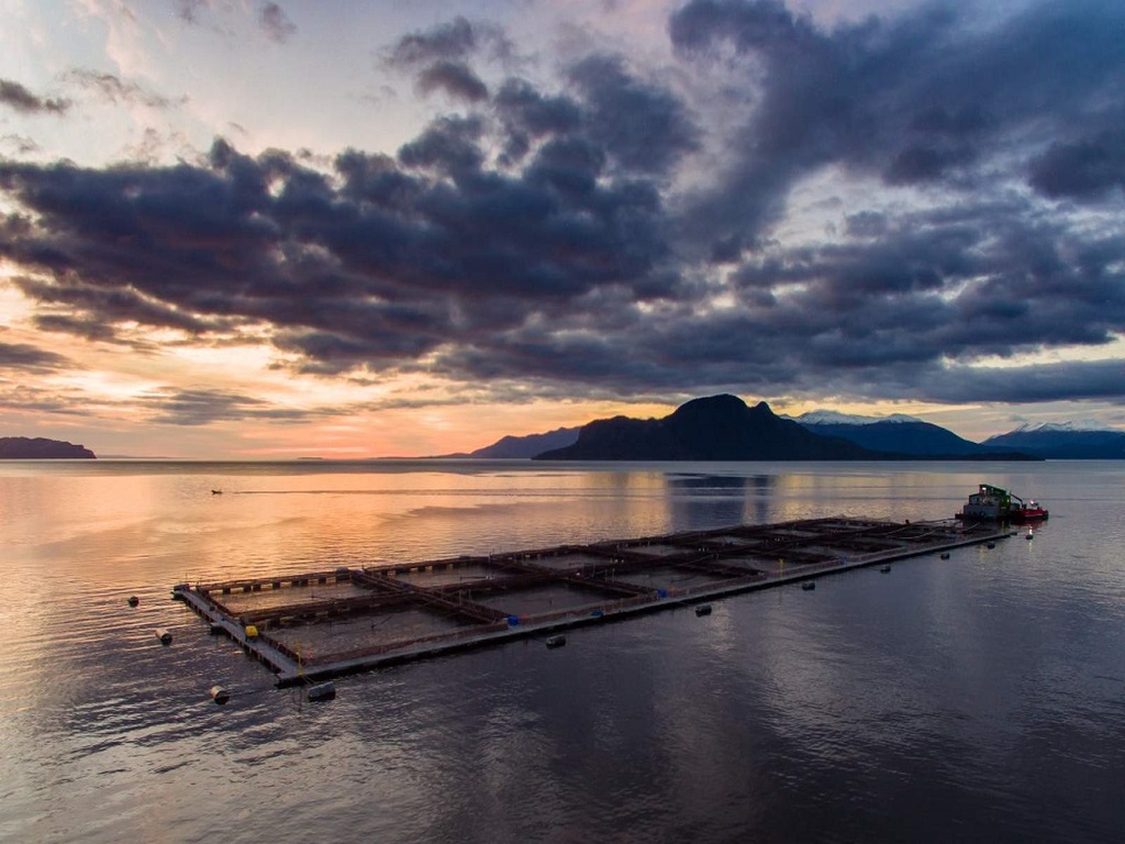 10 proyectos acuicolas esperan la venia ambiental en Magallanes
