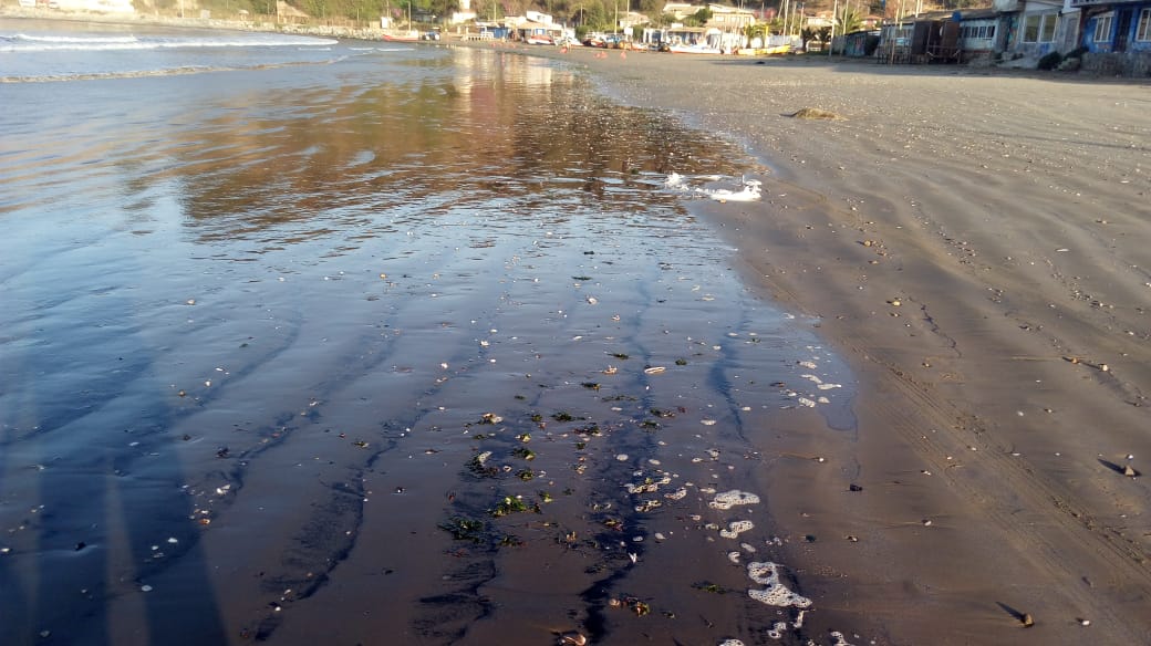 Playa Ventanas de Puchuncaví sumó tres días con varamientos de carbón