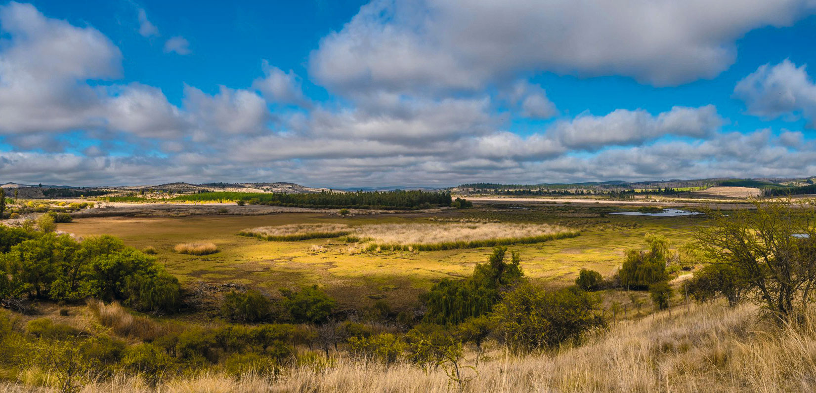 Las cicatrices de la megasequía y el cambio climático en Chile